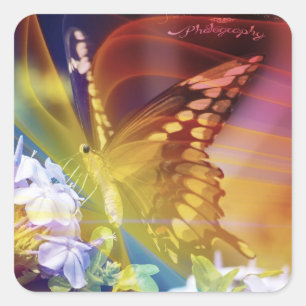 The Wind Butterfly Stickers