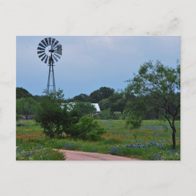 The Windmill in the Wildflowers Postcard (Front)