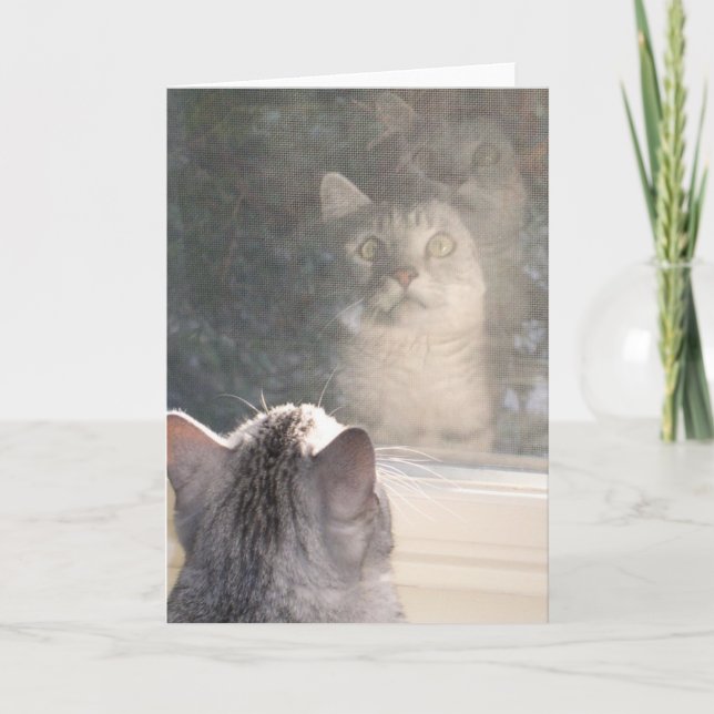 The Window Card (Front)