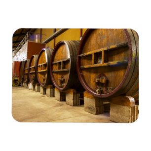 The wine cellar winery with big old wooden casks magnet
