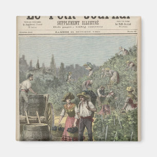 The Wine Harvest Magnet