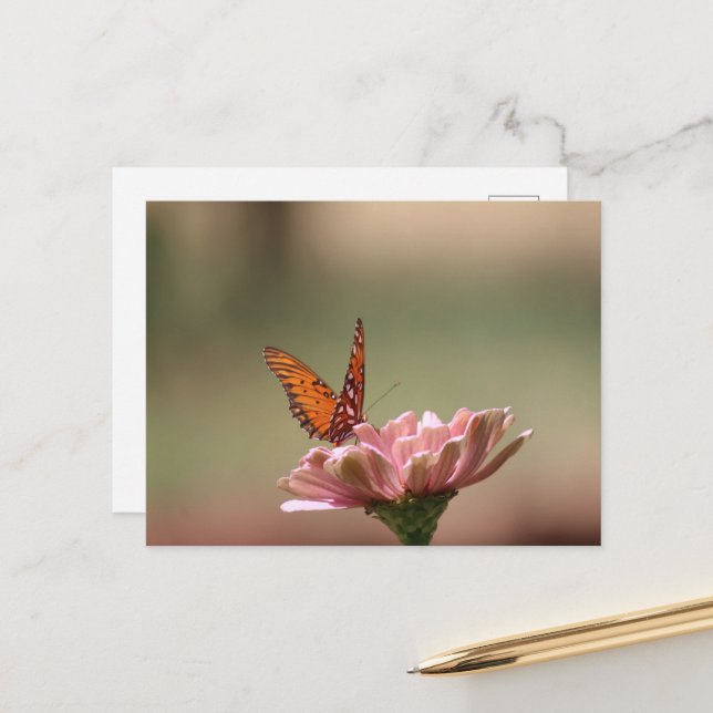 The Wings -- Butterfly Postcard (Front/Back In Situ)