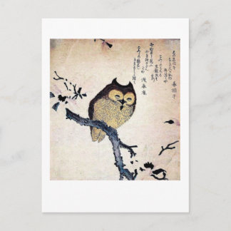 The Wise Old Owl Postcard