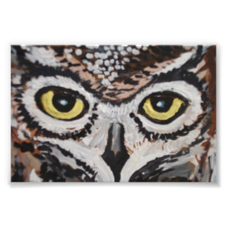 The wise owl photo print