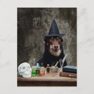 The Witch Postcard