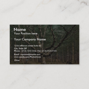 The Wizard tree, Cathedral Woods, Intervale, N.H. Business Card