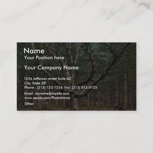 The Wizard tree, Cathedral Woods, Intervale, N.H. Business Card (Front)