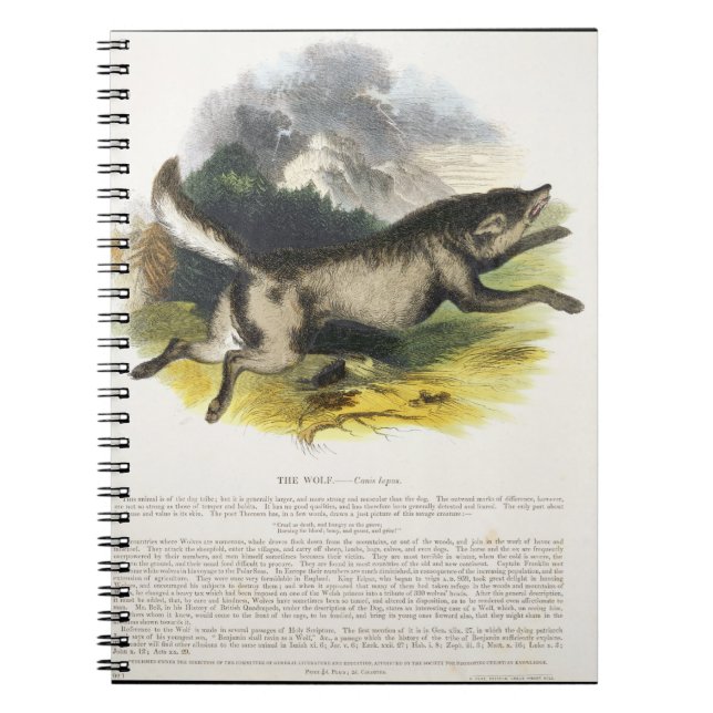 The Wolf (Canis lupus) educational illustration pu Notebook (Front)