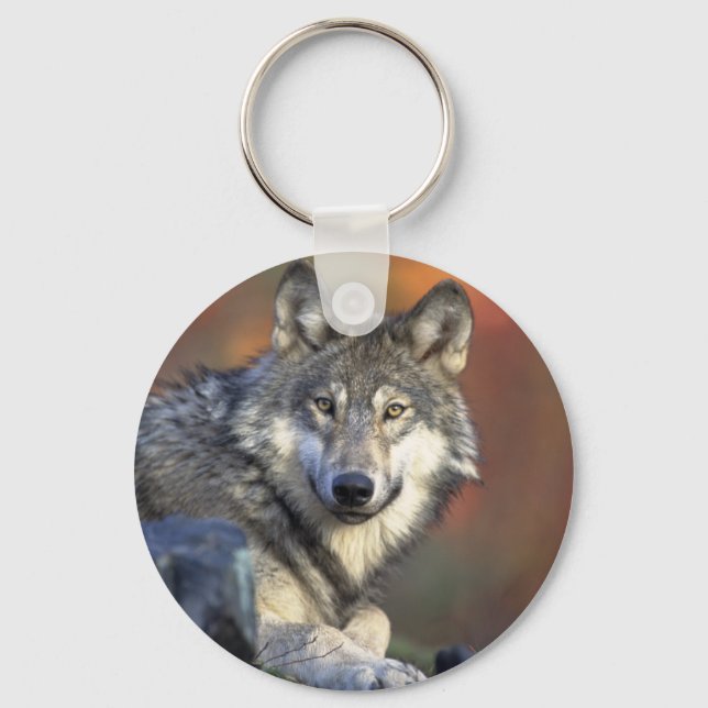 The Wolf Keychain (Front)