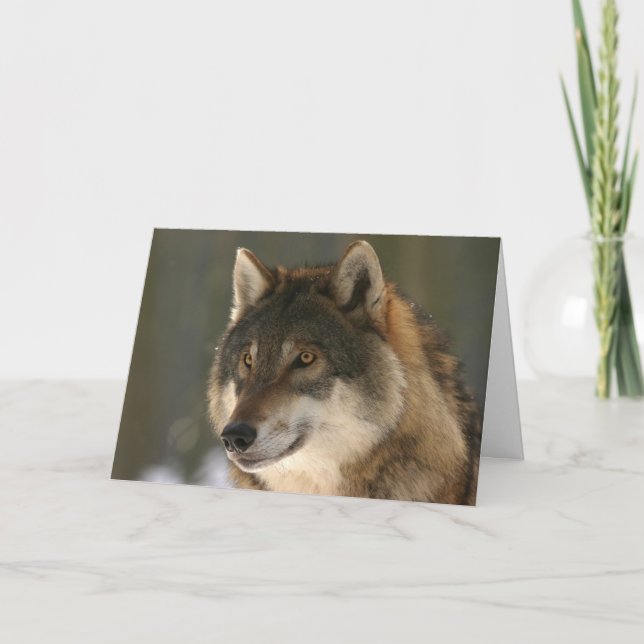 The Wolf Valentine Card (Front)