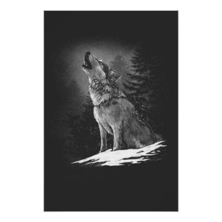 The wolf's breast in nature at night poster