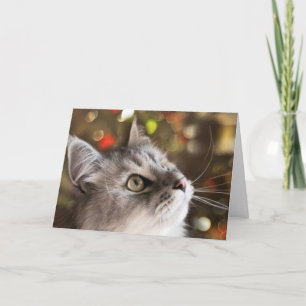 The Wonder of Christmas (Card) Holiday Card