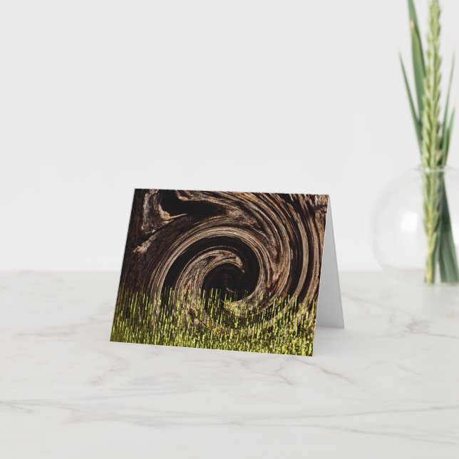 The Woods...... Card (Front)