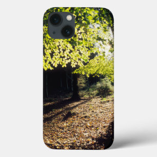 The Woods in Spring iPhone 13 Case