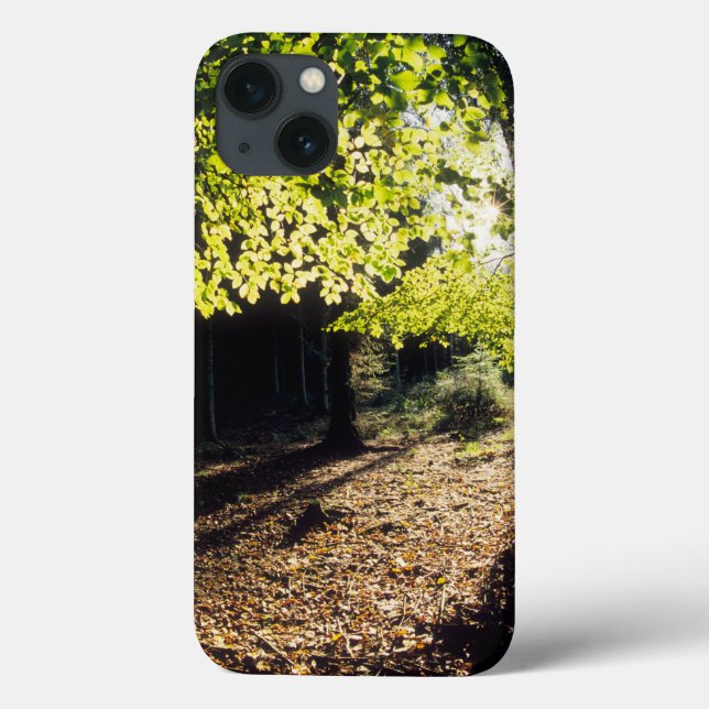 The Woods in Spring Case-Mate iPhone Case (Back)