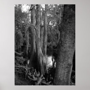 The Woods Poster