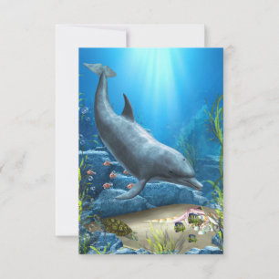The world of the Dolphin