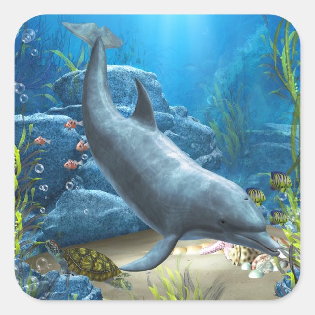 The world of the Dolphin Sticker (Front)