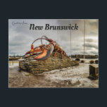 The Worlds Largest Statue New Brunswick Canada Postcard<br><div class="desc">This postcard features The World's Largest Statue in New Brunswick, Canada. It is a concrete and reinforced steel statue by Canadian artist Winston Bronnum. The statue is 11 metres long and 5 metres tall, weighing 90 tonnes and took three years to complete. The sculpture was commissioned by the Shediac Rotary...</div>