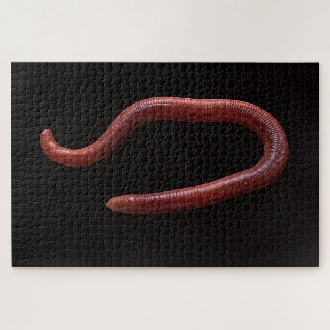     The Worm Collection  Jigsaw Puzzle (Horizontal)