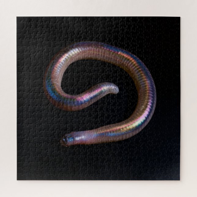     The Worm Collection  Jigsaw Puzzle (Vertical)