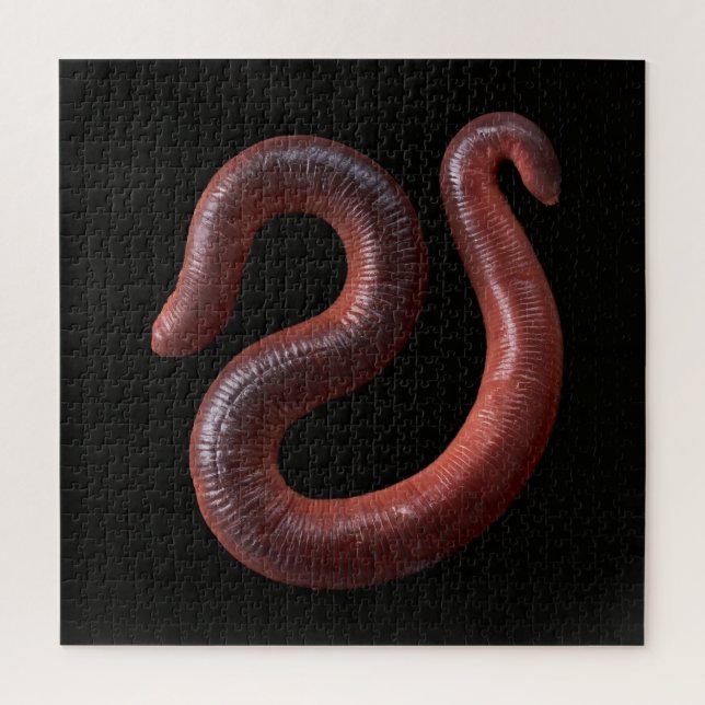     The Worm Collection  Jigsaw Puzzle (Vertical)