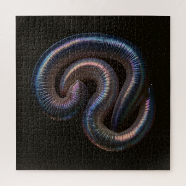     The Worm Collection  Jigsaw Puzzle (Vertical)