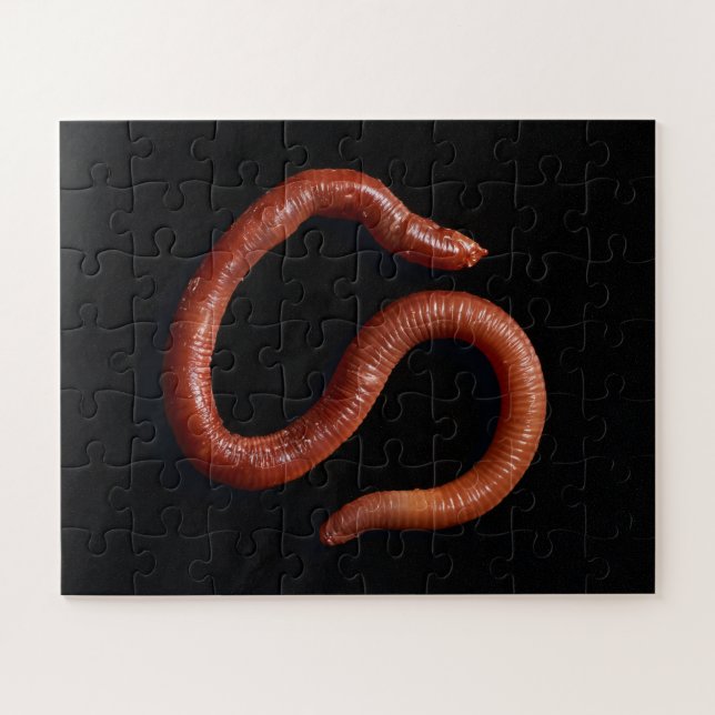     The Worm Collection  Jigsaw Puzzle (Horizontal)