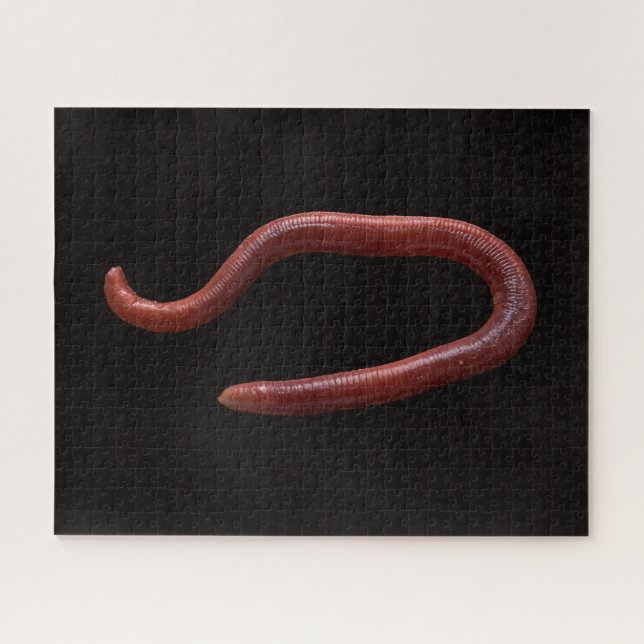     The Worm Collection  Jigsaw Puzzle (Horizontal)