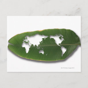 The worm-eaten leaf world map postcard
