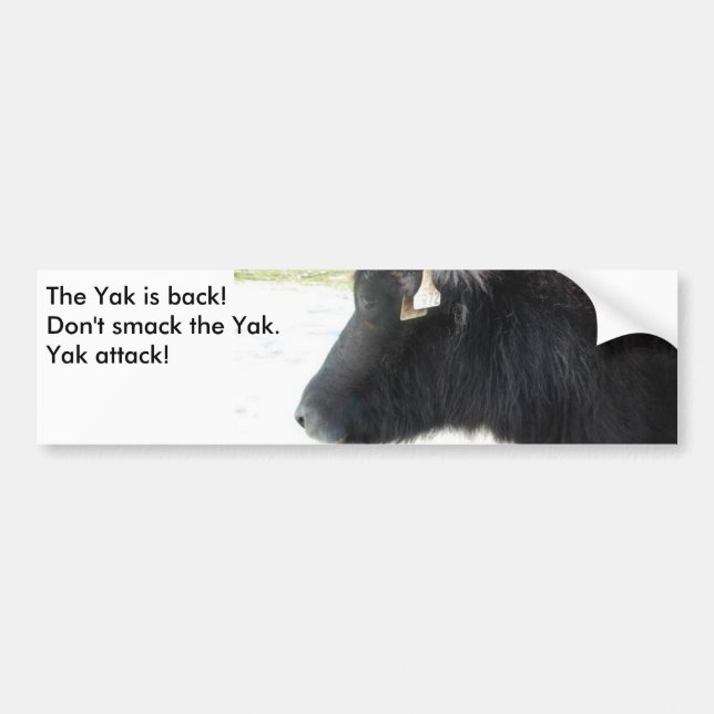 The yak is back! bumper sticker (Front)