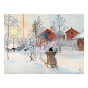 The Yard and Washhouse by Carl Larsson Photo Print