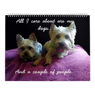 The Year With Moose And Barney Calendar