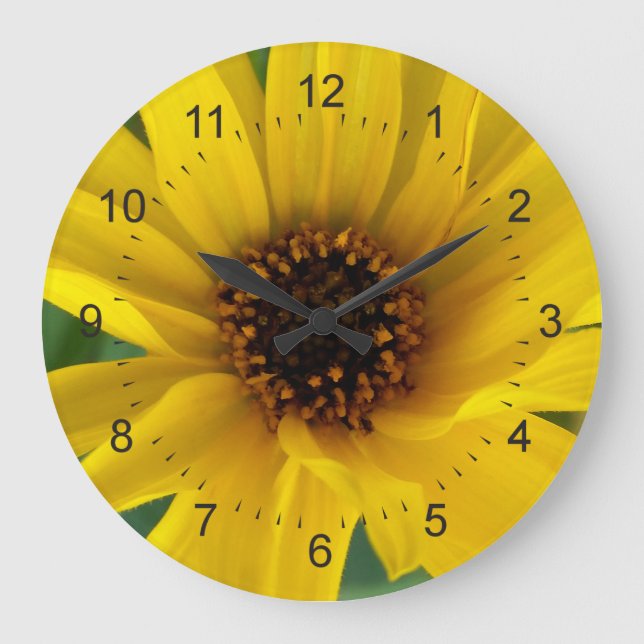 the yellow flowers of autumn large clock (Front)