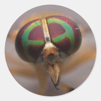 The Yellow Fly of the Dismal Swamp Face Stickers