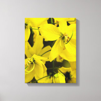 The yellow of laburnum flowers canvas print