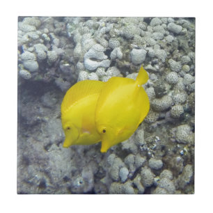 The Yellow Tang Fish Tile