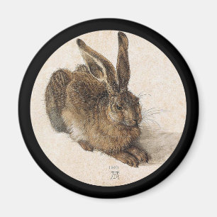 The Young Hare Magnet