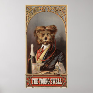 The Young Swell Poster