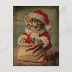 The 'Yuletide Yawn' Dashing Kitten Christmas Postcard