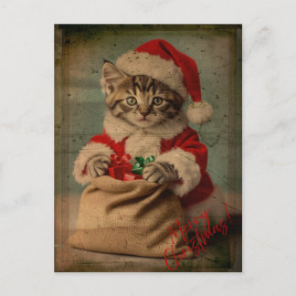 The 'Yuletide Yawn' Dashing Kitten Christmas Postcard