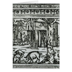 Theatre d'Agriculture et Mesnage des Champs'