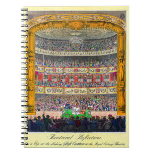 "Theatrical Reflection" Notebook