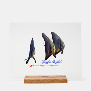 Thee Cute Longfin Batfish Beverage Coaster Acrylic Sign