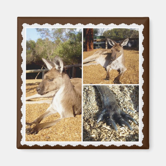 Thee Kangaroo Picture Collage, Magnet (Front)