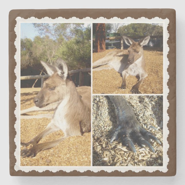 Thee Kangaroo Picture Collage, Stone Coaster (Front)
