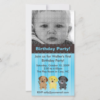 Thee Labradors Blue Birthday Invitation