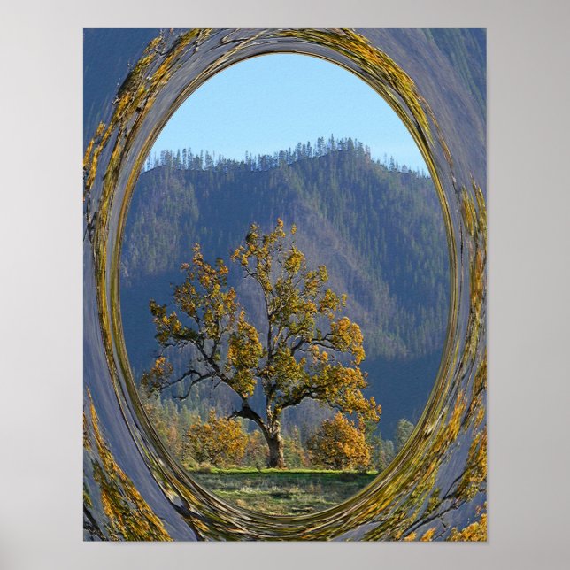 Thee old oak tree..... poster (Front)