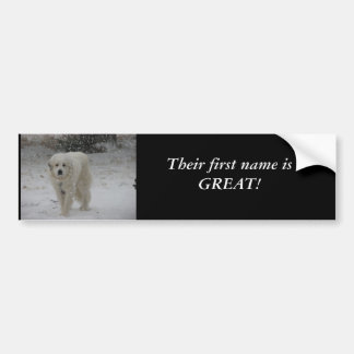 Their First Name Is Great Bumper Sticker