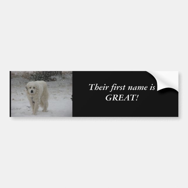 Their First Name Is Great Bumper Sticker (Front)